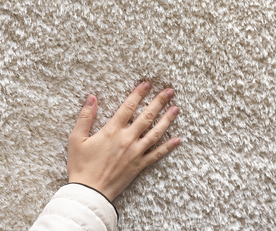 DIY vs. Professional: Unveiling the Best Carpet Cleaning Method for You